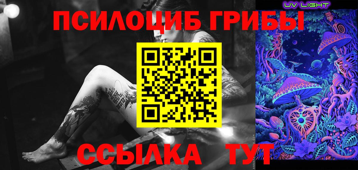 Галлюциногенные грибы Psilocybe  Галлюциногенные грибы прущие грибы  Стрежевой  Вход с VPN 