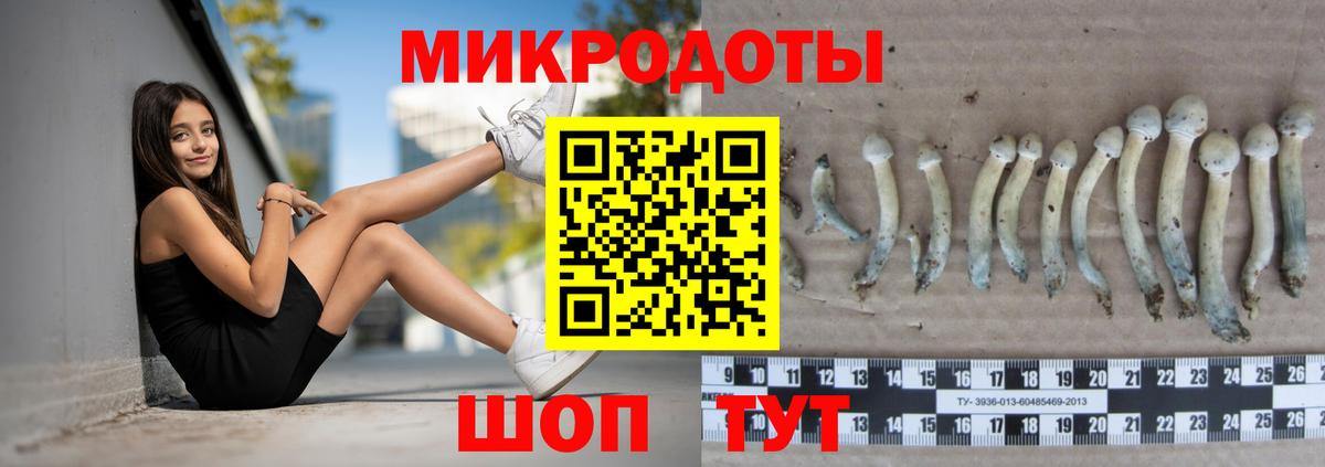 Псилоцибиновые грибы Cubensis Стрежевой
